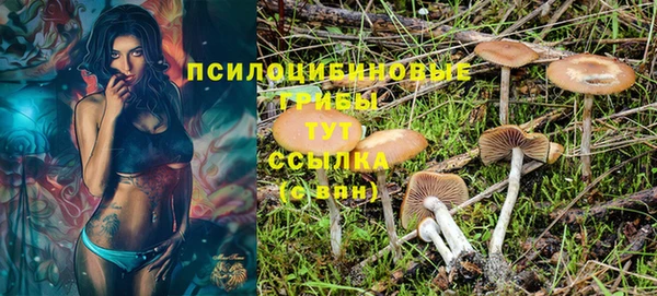 мдпв Вязьма