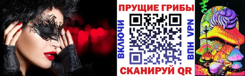 Галлюциногенные грибы Psilocybe  OMG ссылка  Заозёрный 